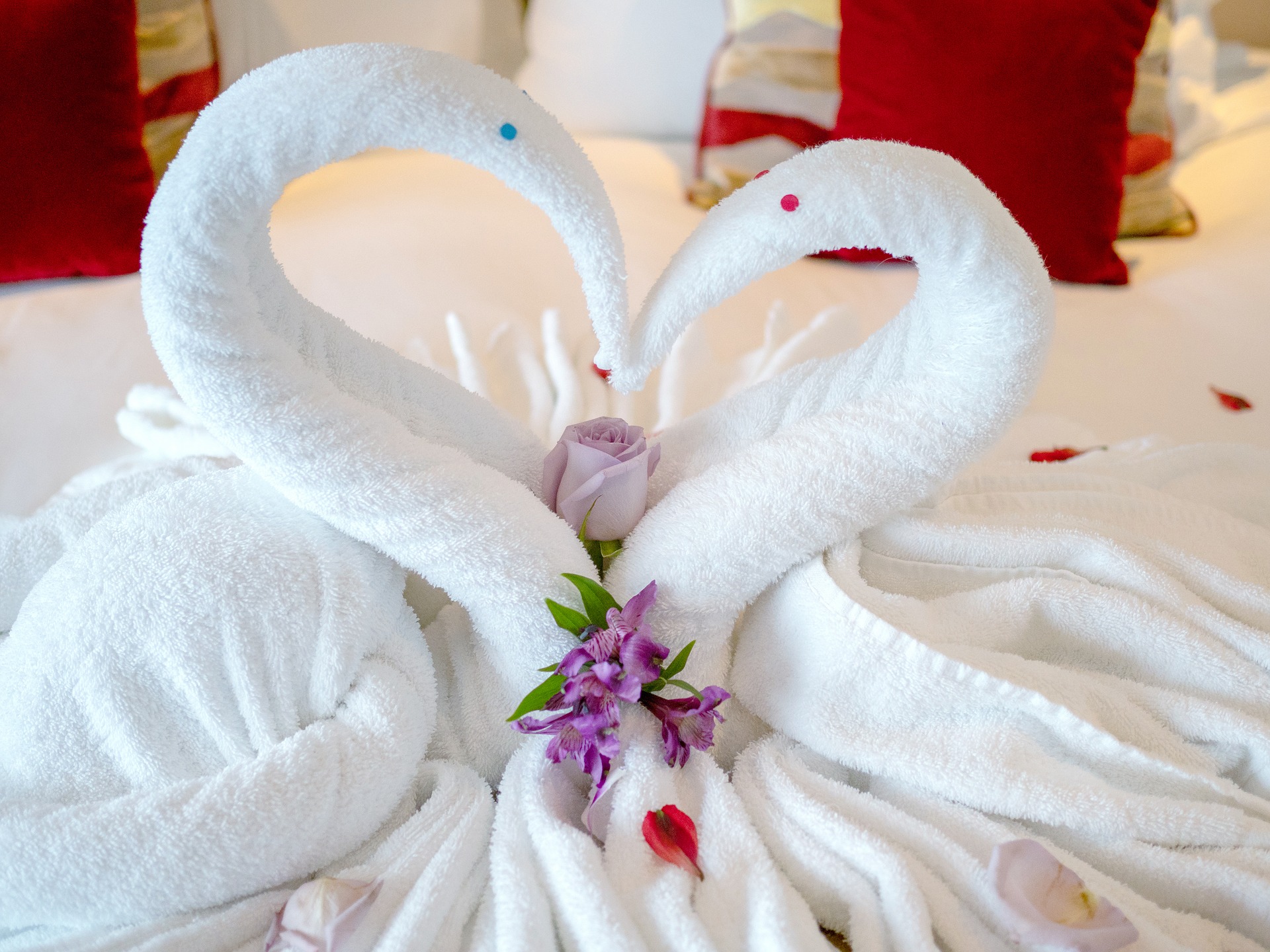 Romantic towel animal swans on a cruise ship (source: LAWJR, Pixabay)