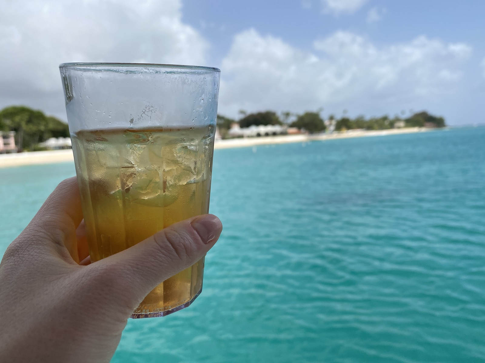 Lunch and unlimited beverages (including alcohol, like this rum punch) were covered in the price of the excursion.