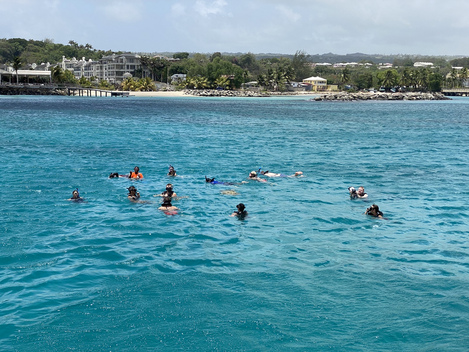 During one of the stops during the tour, we snorkeled with friendly turtles who begged us for fish scraps.