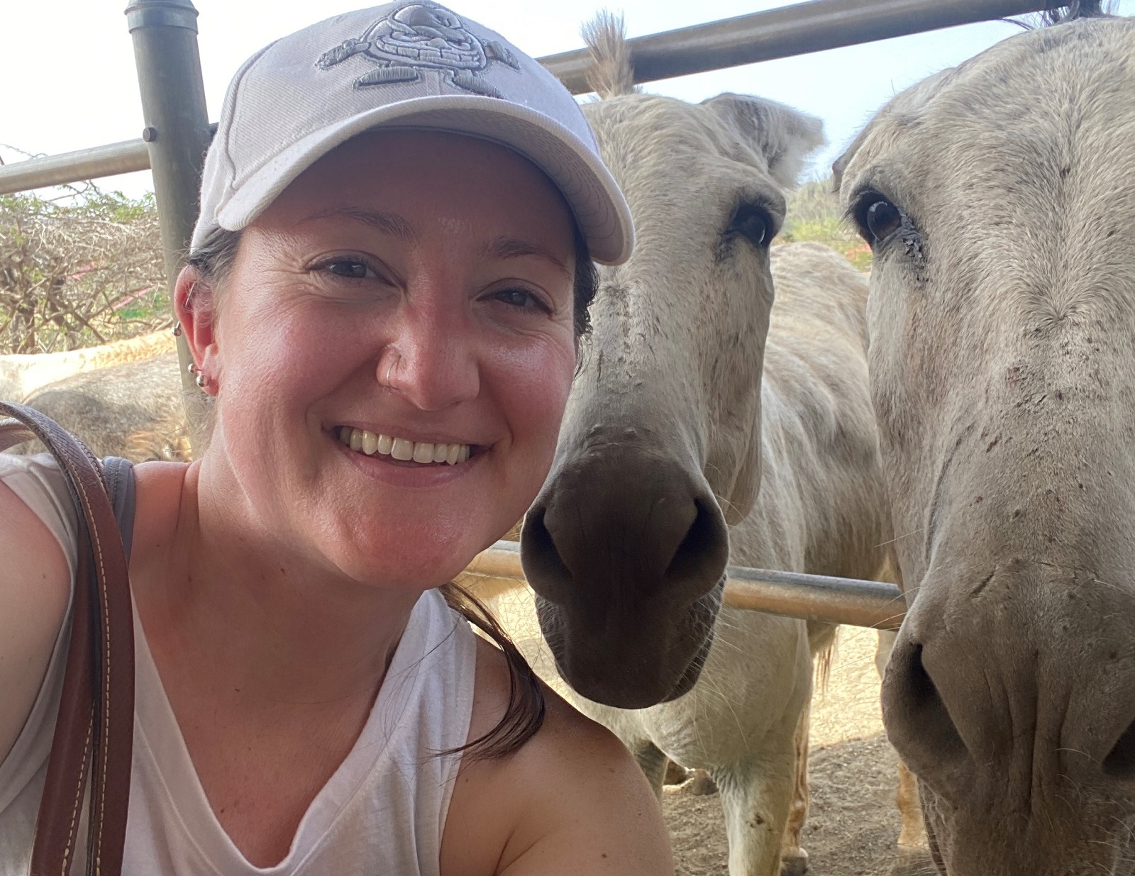Ashley with donkeys at Donkey Sanctuary Aruba