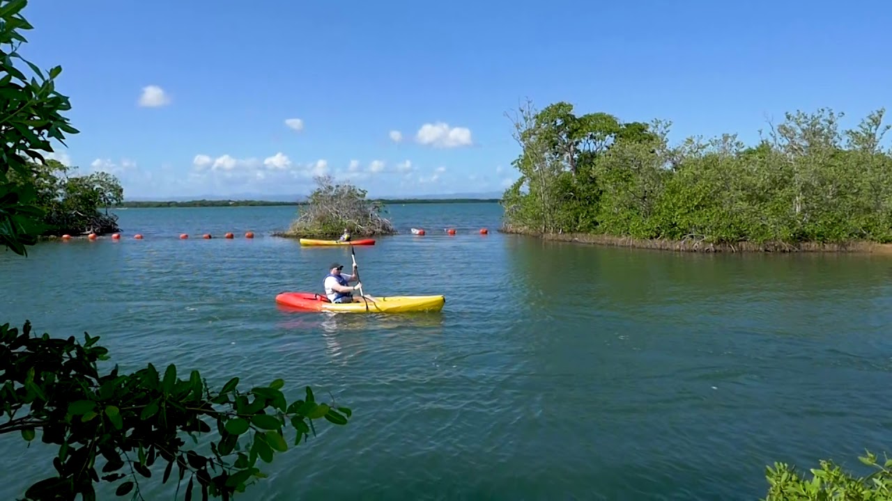 NCL Harvest Caye Kayak