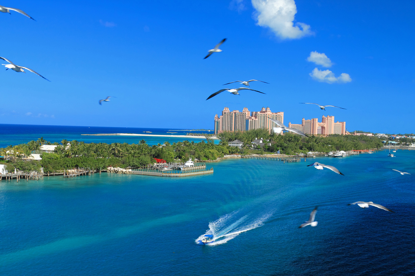 Bahamas announces new protocols aimed to eliminate need to quarantine |  Cruise.Blog