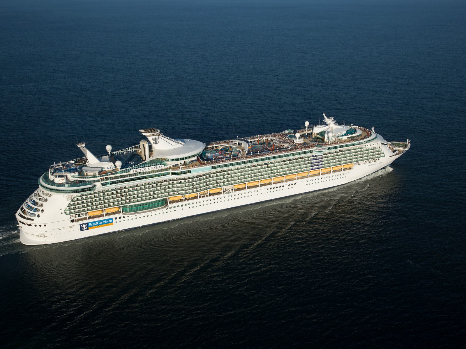 Freedom of the Seas aerial