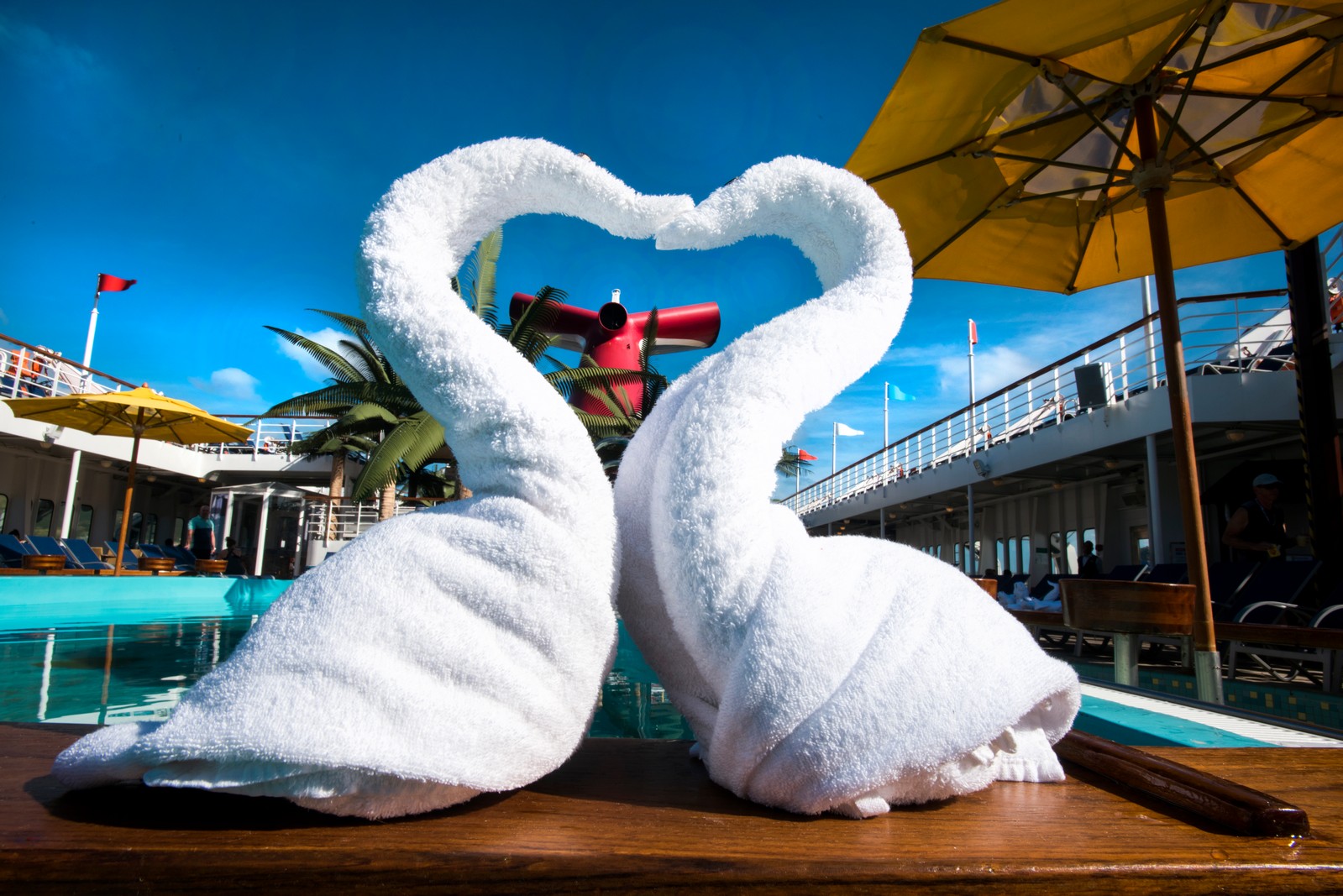 Swan towel animals