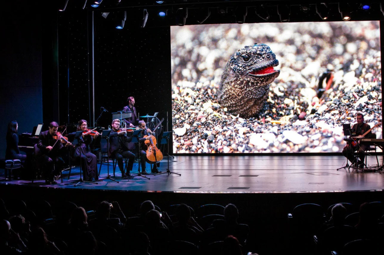 'BBC Earth II in Concert' on a Holland America cruise ship (source: Holland America Line)