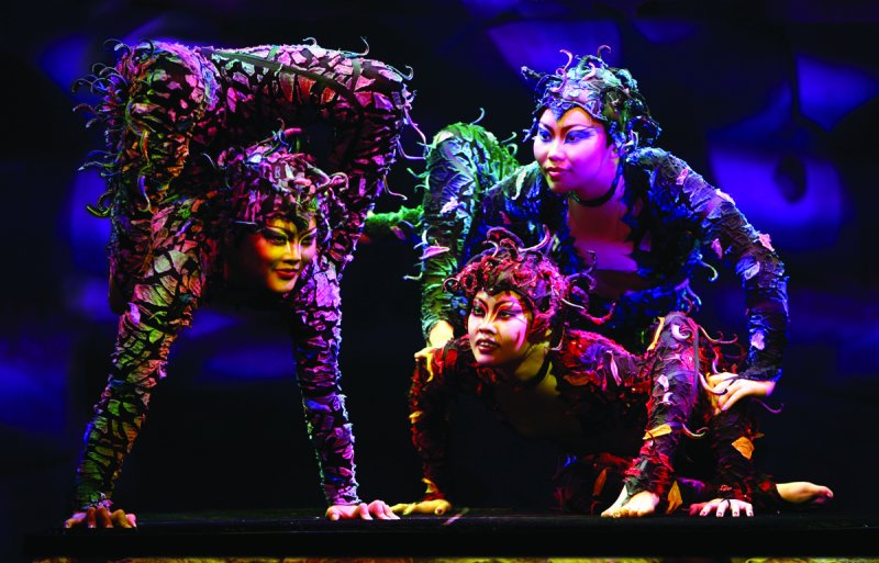 'Cirque Dreams Jungle Fantasy' on Norwegian Breakaway (source: NCL)