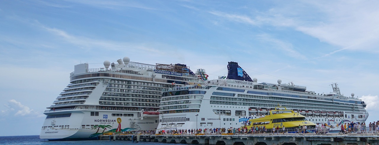 NCL ships in Cozumel