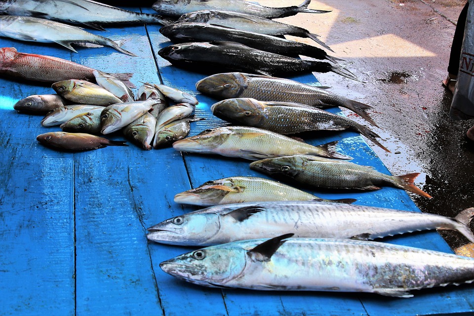 Mariscos