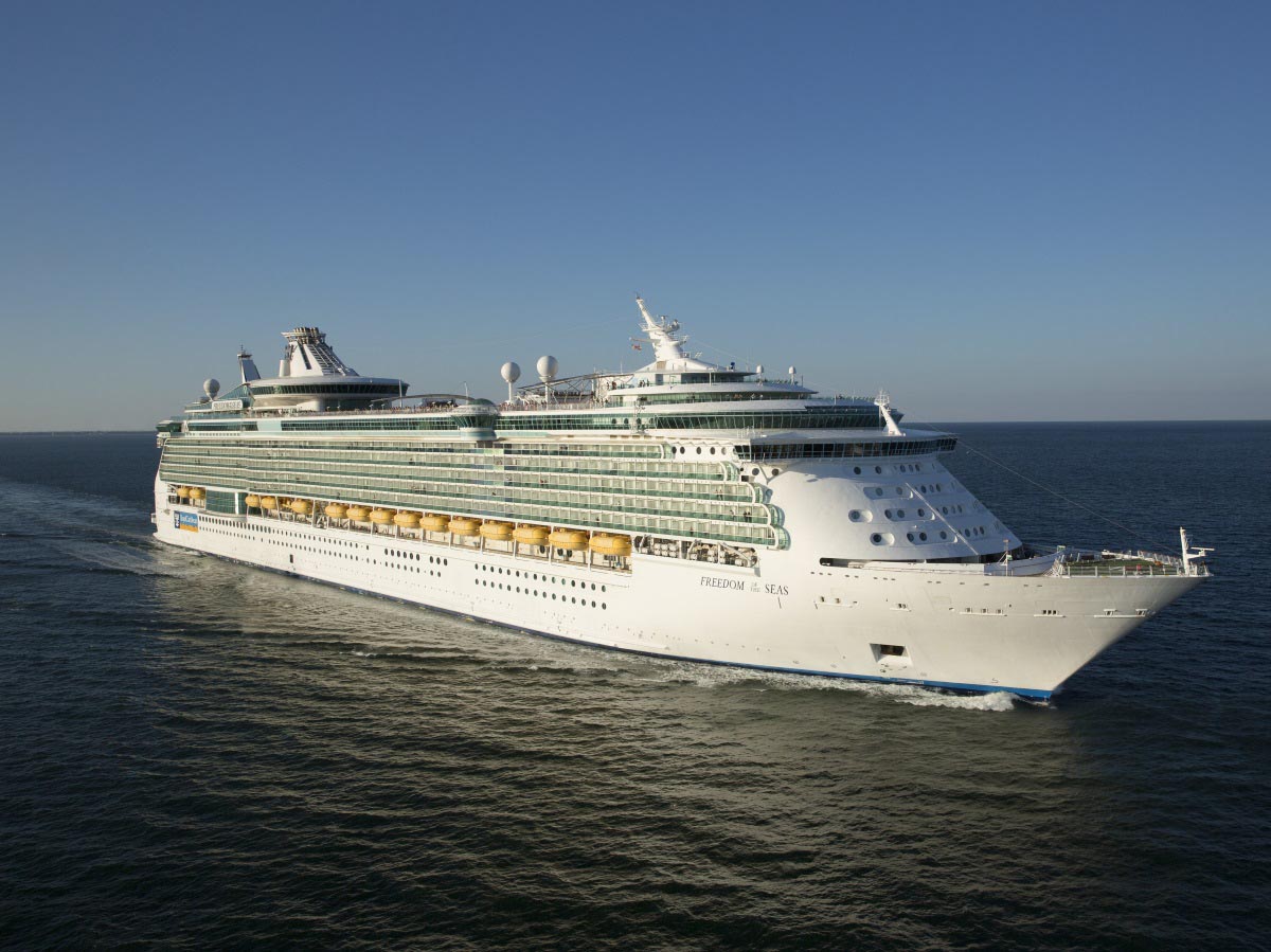 Freedom of the Seas aerial