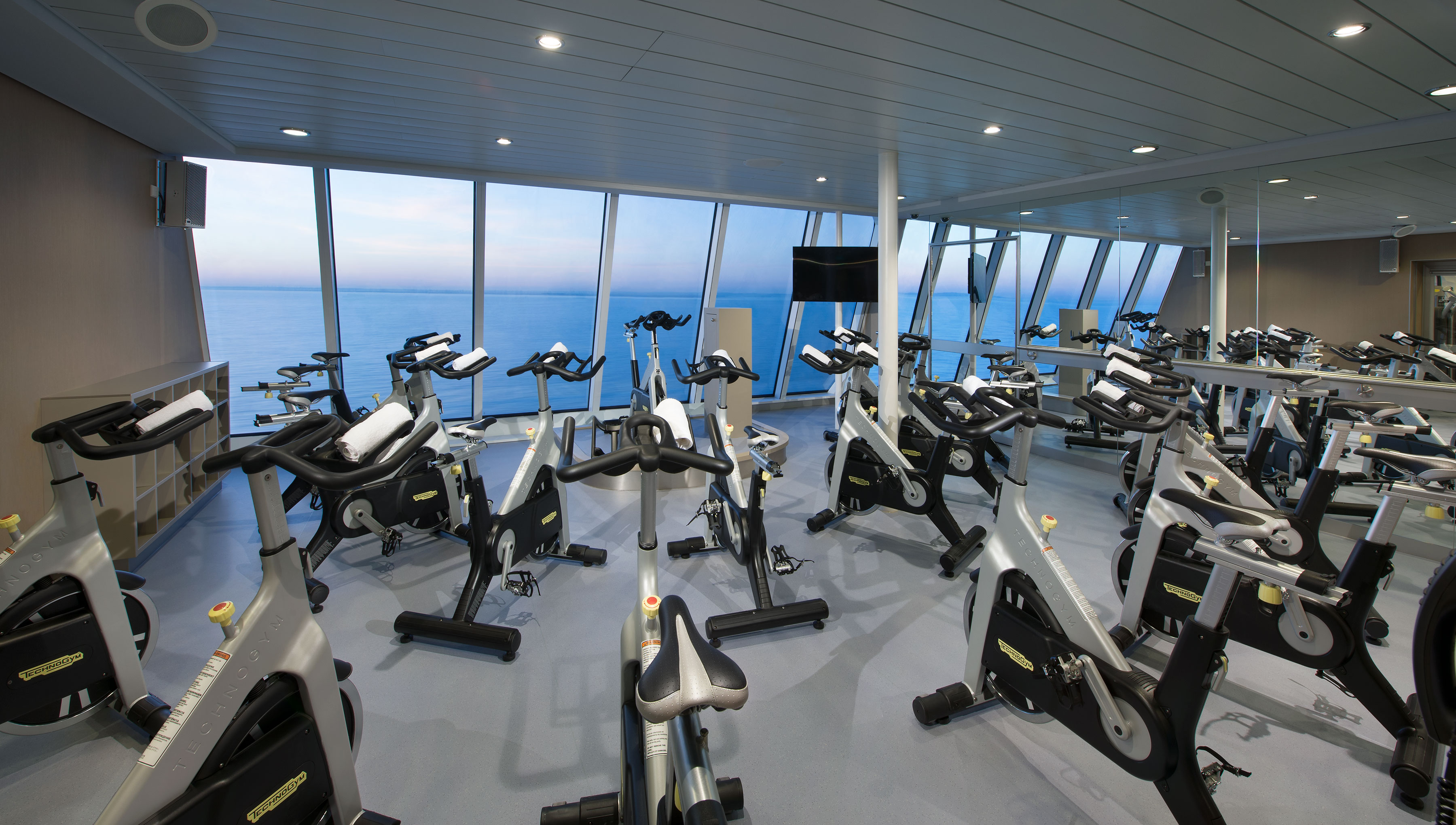 Quantum of the Seas gym