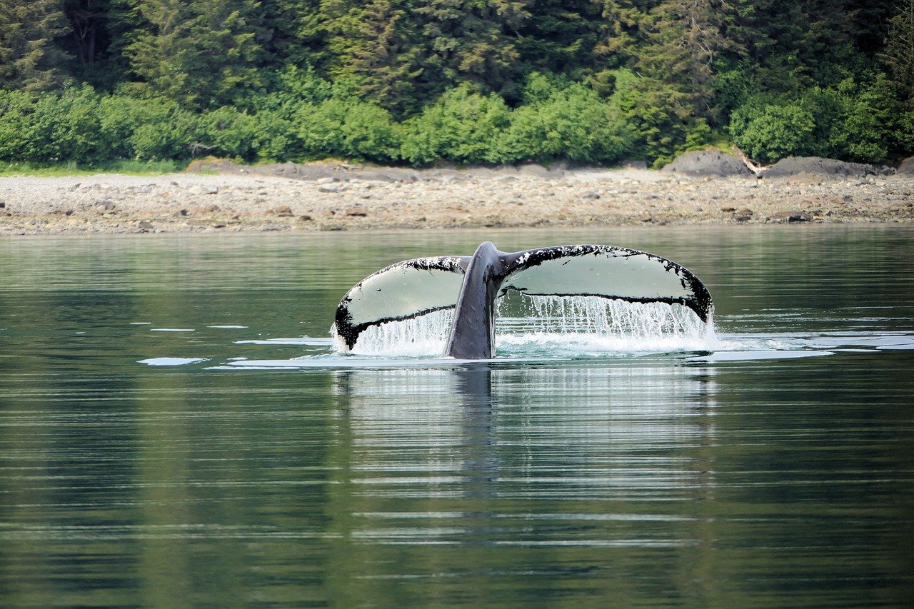 Icy Strait Point