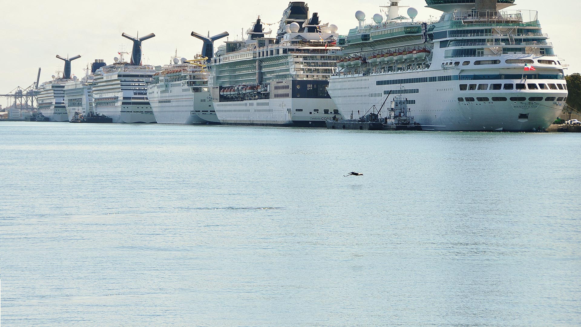 Ships lined up at PortMiami