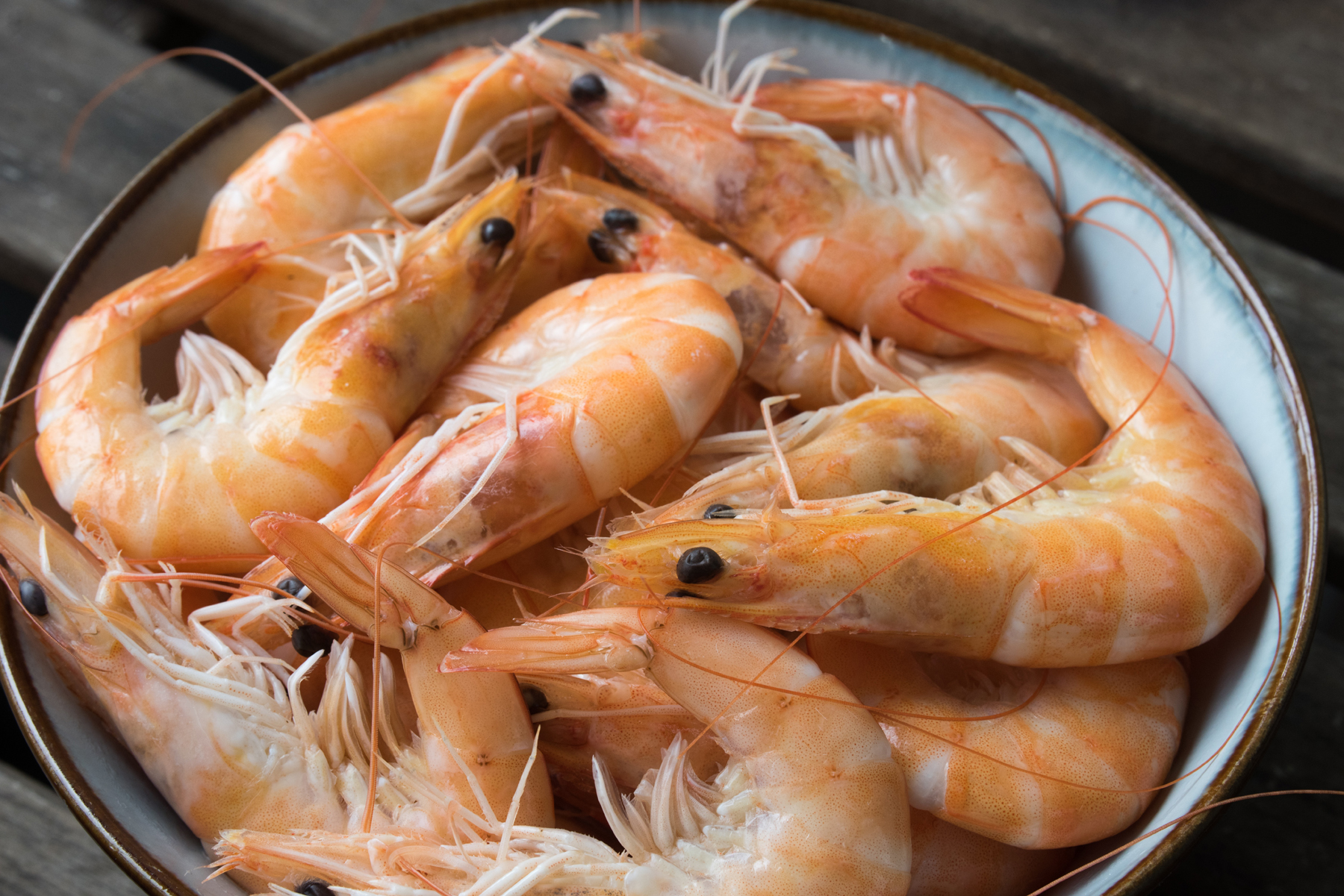 Shrimp prawns in a bowl (source: Daniel Klein, Unsplash)