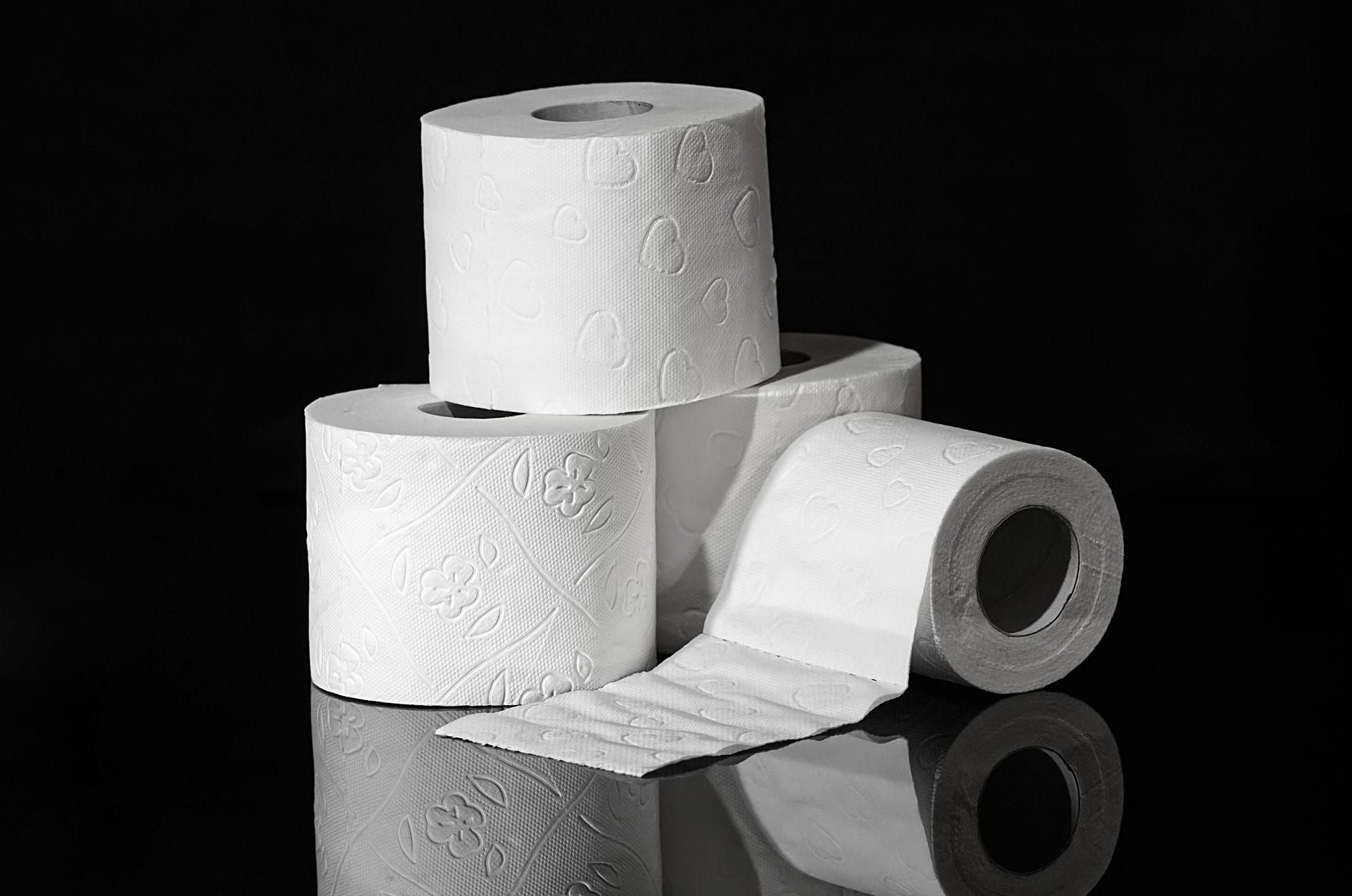 Toilet paper (source: Alexas_Fotos, Pixabay)