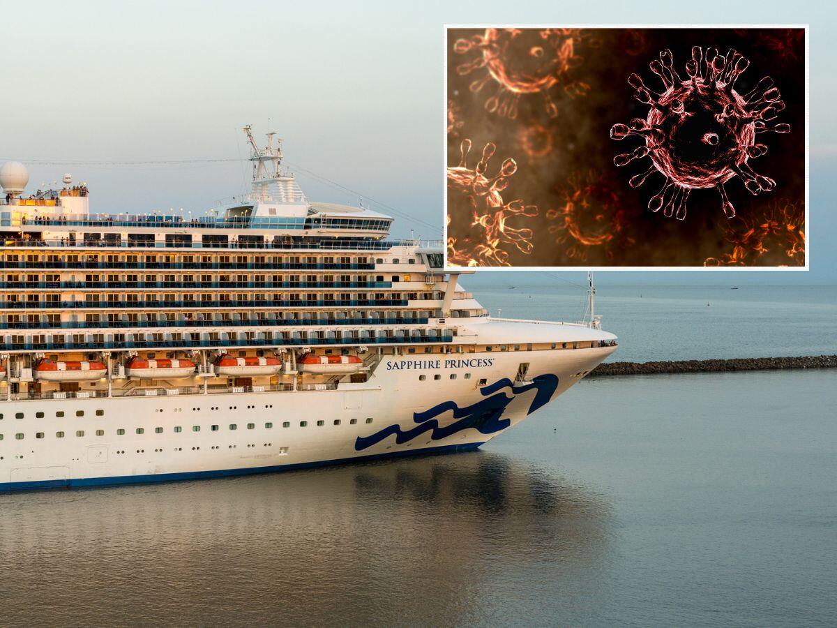 A norovirus outbreak aboard Royal Caribbean, Princess Cruises ships has ...