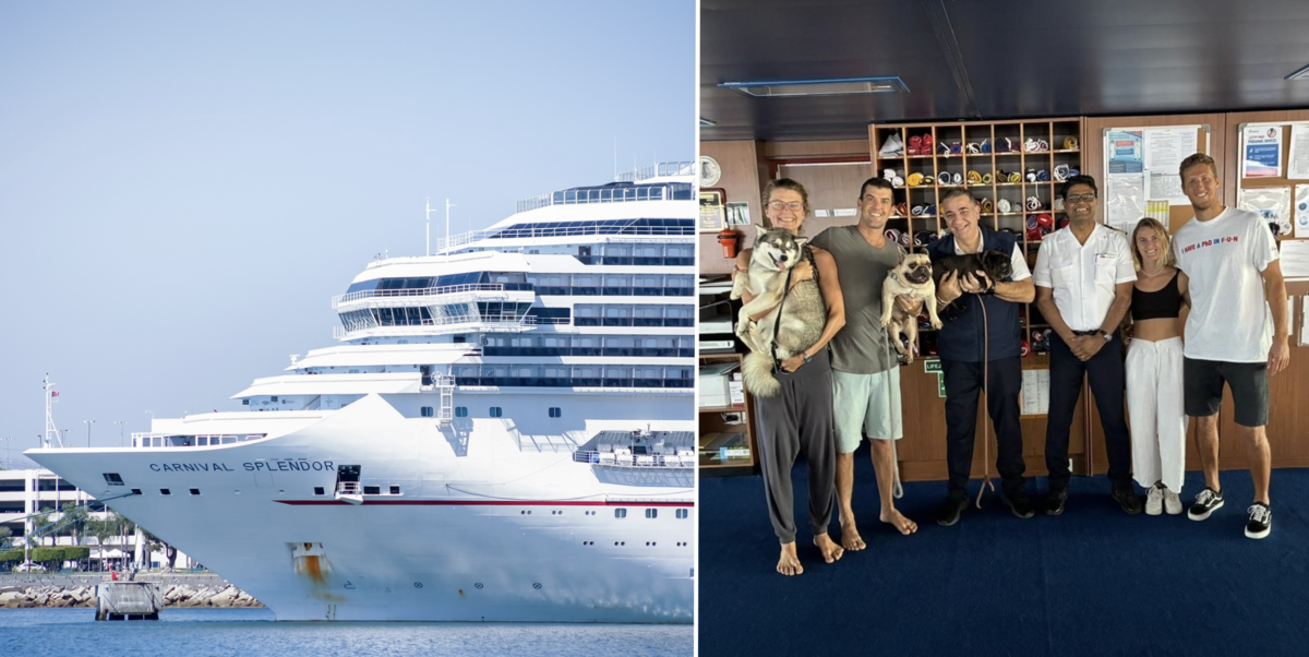 Carnival cruise ship rescues 4 people and 3 dogs from disabled catamaran