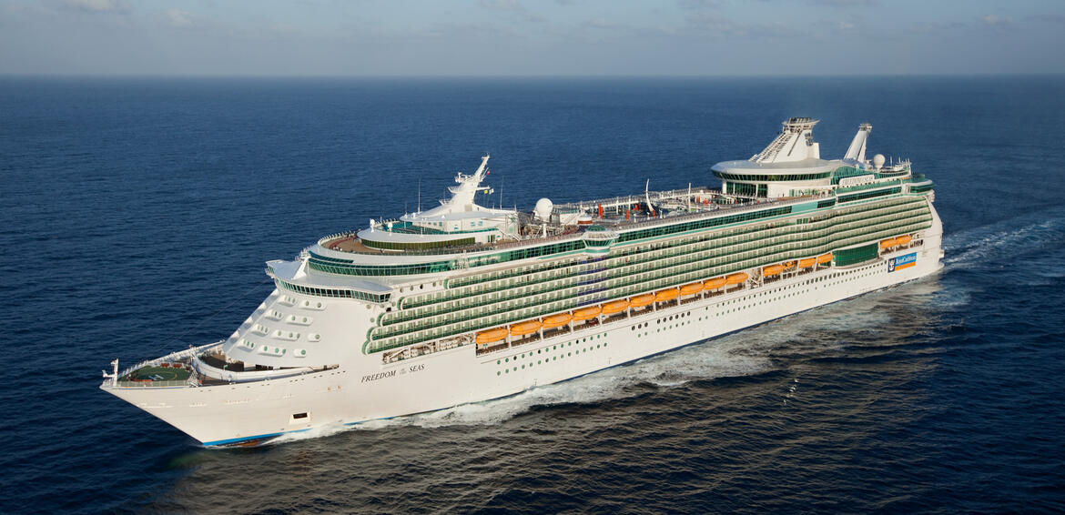 Freedom of the Seas aerial