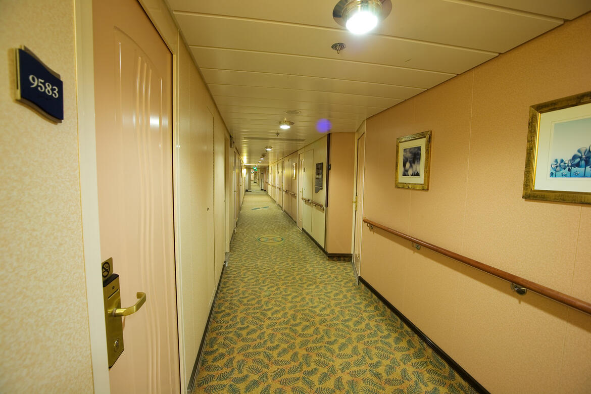 Hallway doors