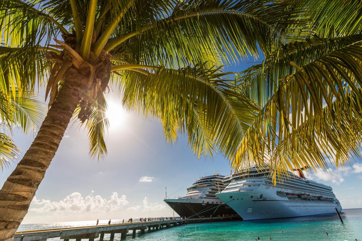 Two cruise ships docked with palm tree in view