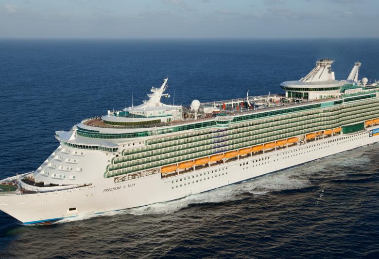 Freedom of the Seas aerial