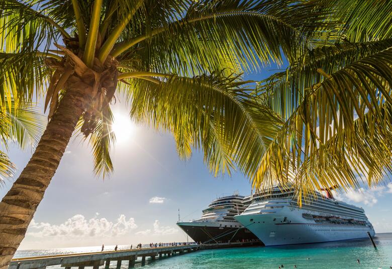 Two cruise ships docked with palm tree in view