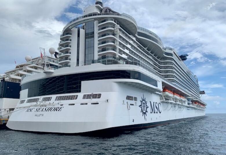 MSC Seashore docked rear view