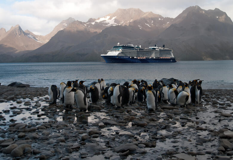 Celebrity-Cruises-South-America