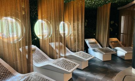 Rainforest Room