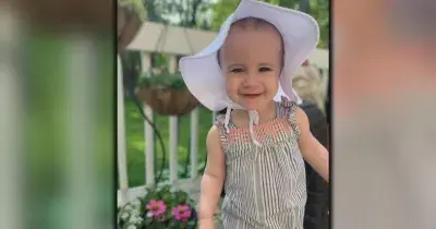 Royal Caribbean says video shows grandfather knew window was open before dropping toddler
