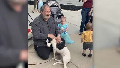 Grandfather pleads guilty in death of Chloe Wiegand, who fell from Royal Caribbean cruise ship