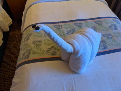 Dinosaur towel animal on Carnival Pride