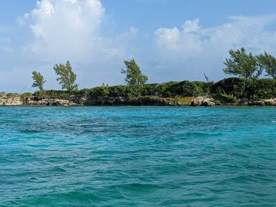 Green Cay Bahamas