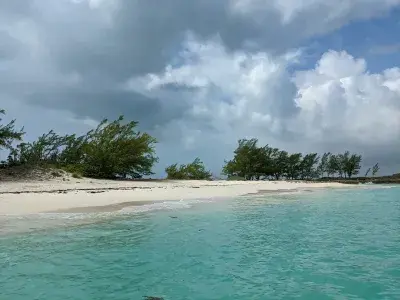 Rose Island Bahamas - white sand beach with palm trees
