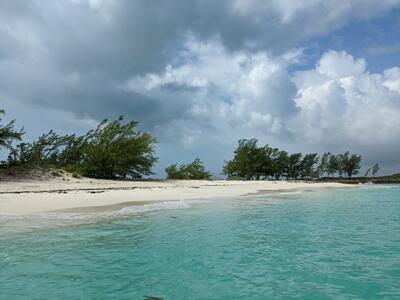 Rose Island Bahamas - white sand beach with palm trees