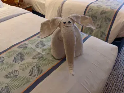 Towel elephant on Carnival Pride