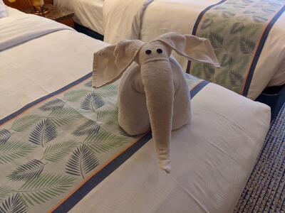 Towel elephant on Carnival Pride