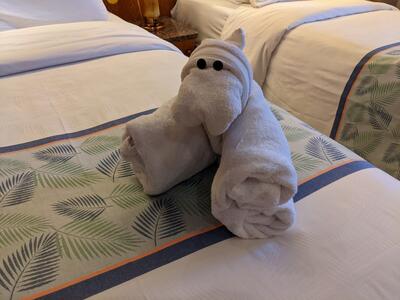 Towel animal on Carnival Pride