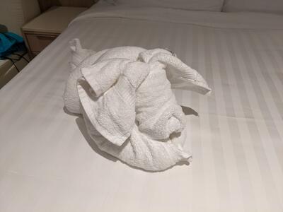 Towel animal dog on Rotterdam