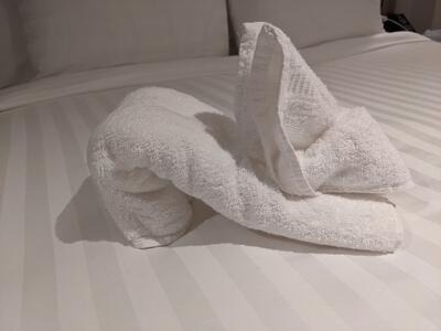 Towel animal on Rotterdam