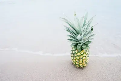 Pineapple on beach
