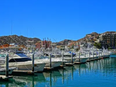 boats