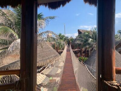 Aviary
