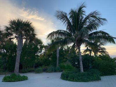 Evening Ocean Cay