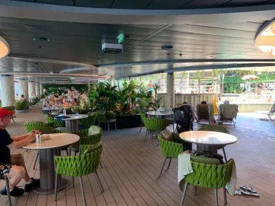 Jungle Bar