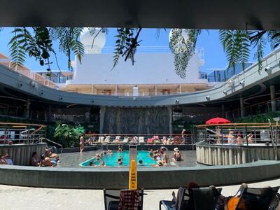 Jungle Pool