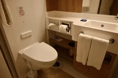 Bathrooom Carnival