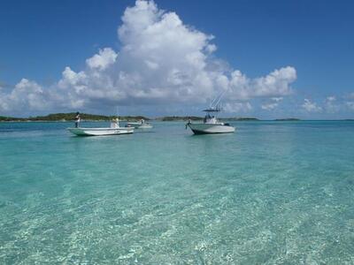 boats Bimini