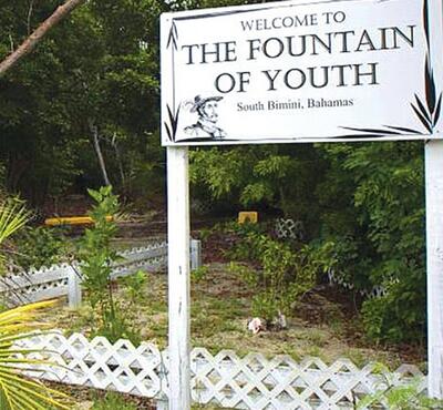 Fountain of youth