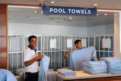 towel