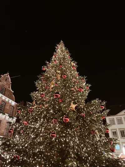viking Christmas